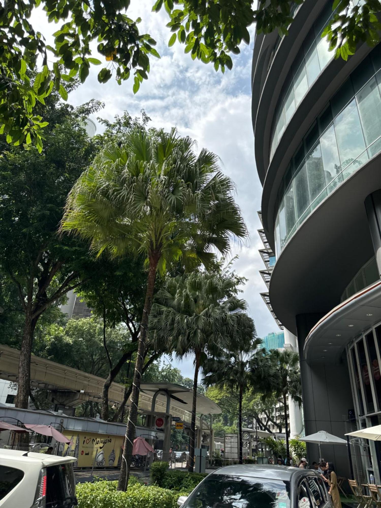 Vortex Suites Klcc 2Bedroom & 3Bedroom Apartment Kuala Lumpur Zewnętrze zdjęcie